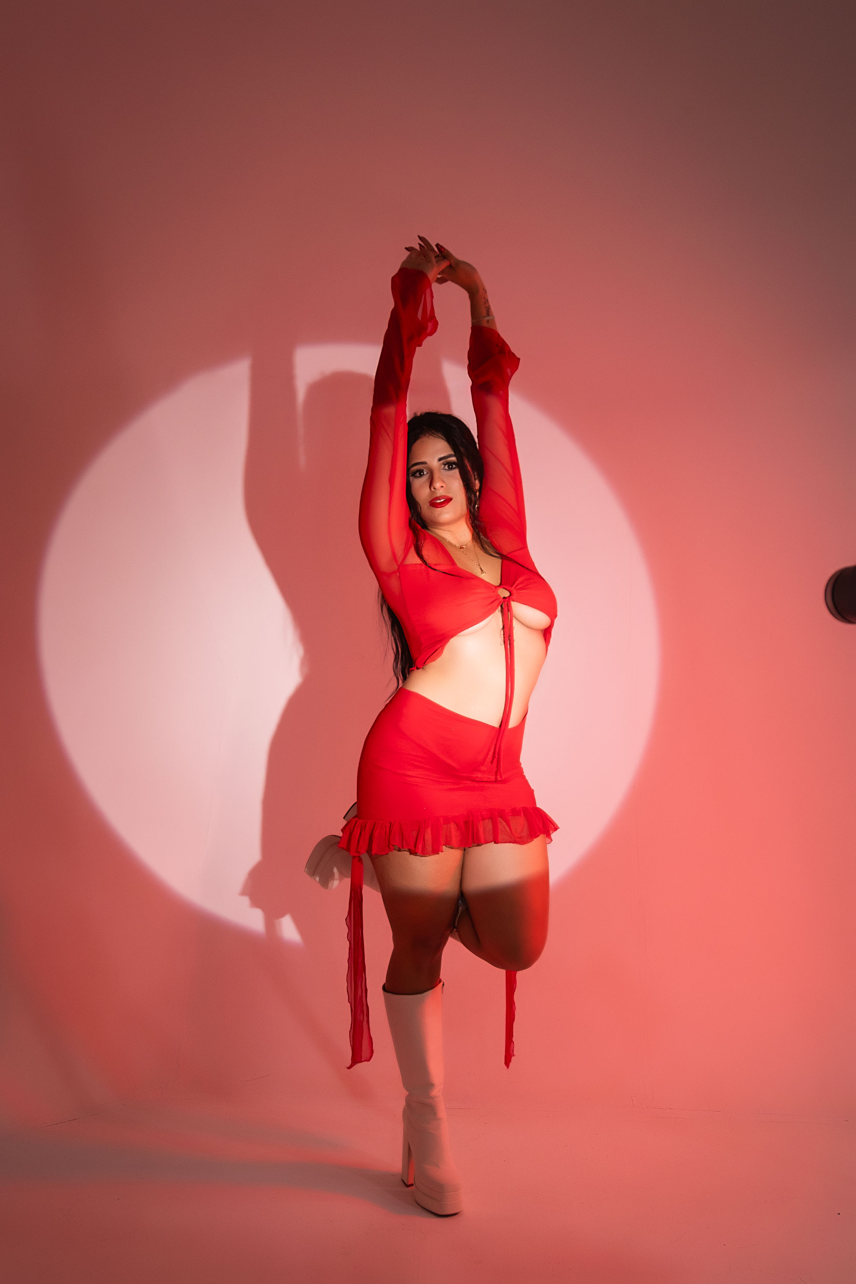 Modelo profesional en estudio